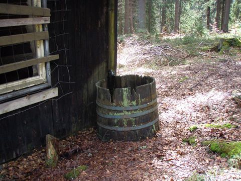 Foto 51